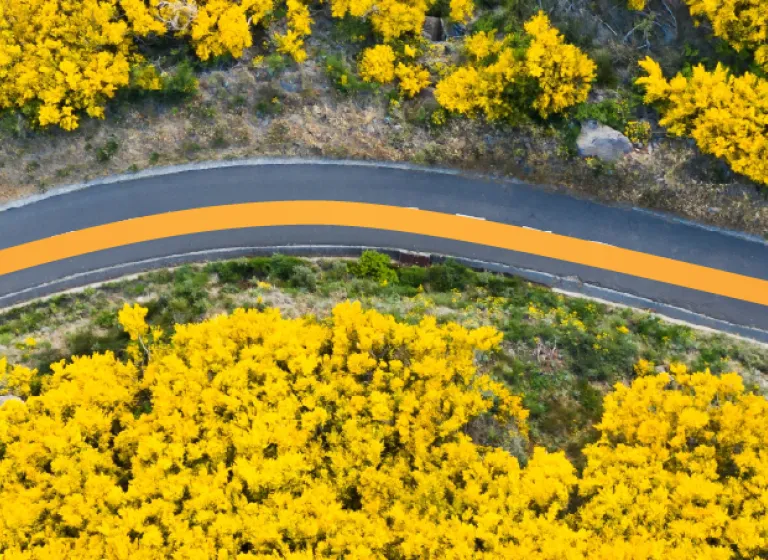כביש בפורטוגל